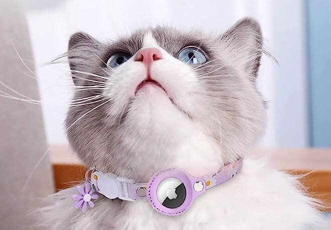 KattenKompas AirHalsband - Kattenhalsband met plaats voor Airtag