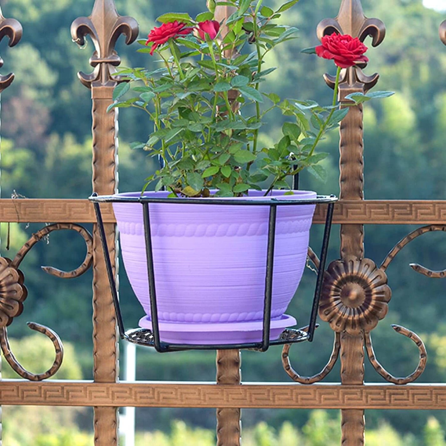 Unieke Plantenhanger - Geniet van de natuur overal en altijd!