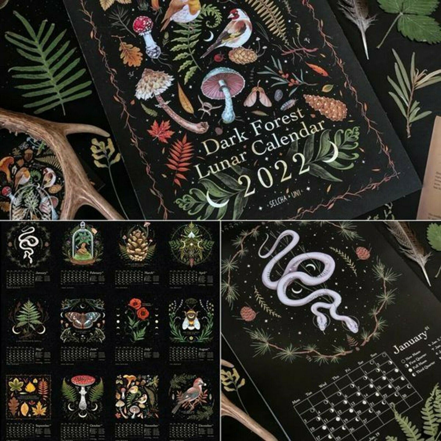 2022 Donkere Woud Maankalender