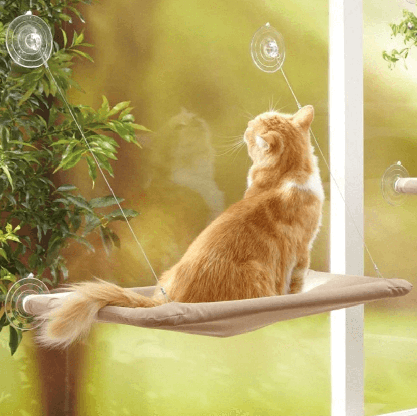 LazyCat - Raam hangmat voor katten