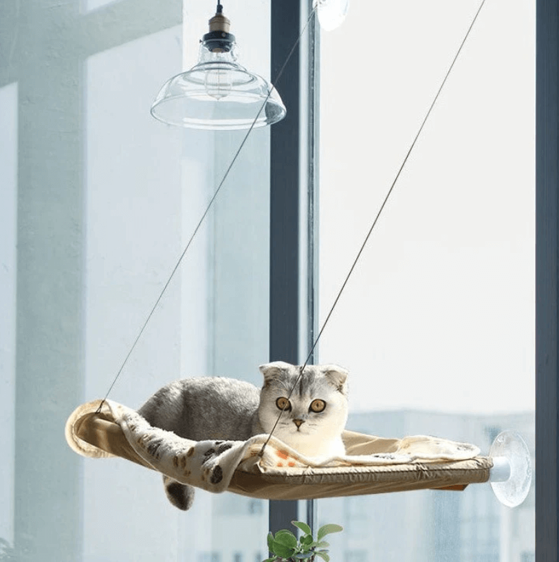 LazyCat - Raam hangmat voor katten