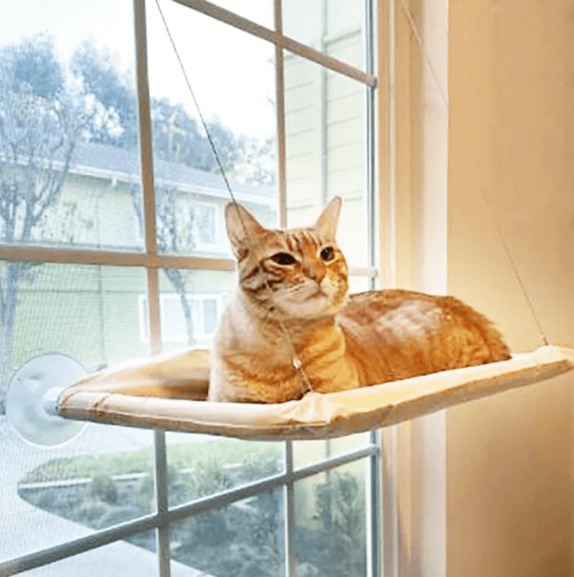 LazyCat - Raam hangmat voor katten