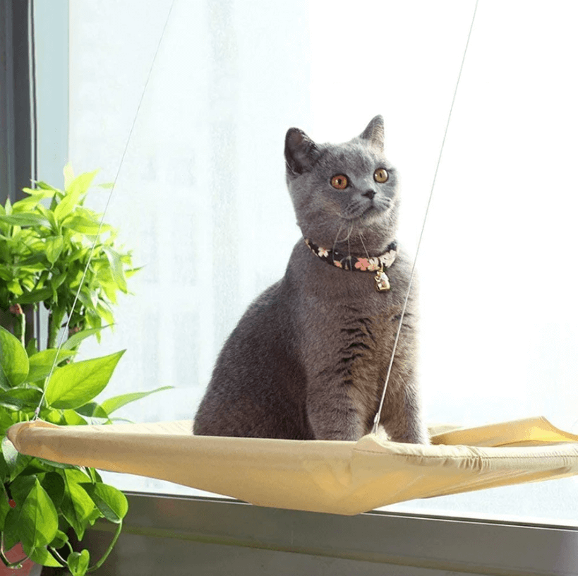 LazyCat - Raam hangmat voor katten