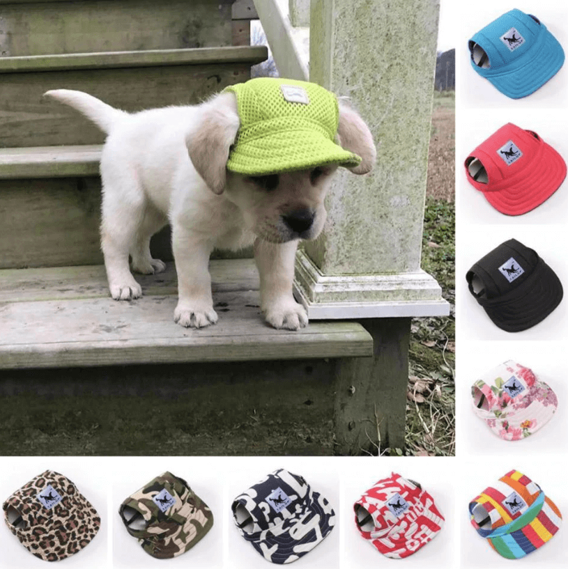 DogHat - Honden Zomerhoed