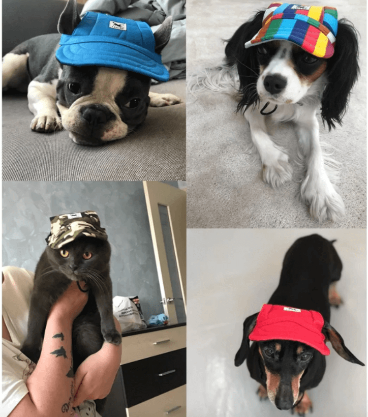 DogHat - Honden Zomerhoed