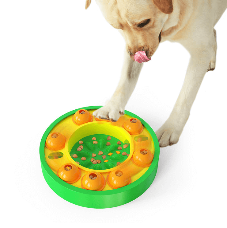 PetTrainer - Interactief intelligentie spel voor huisdieren