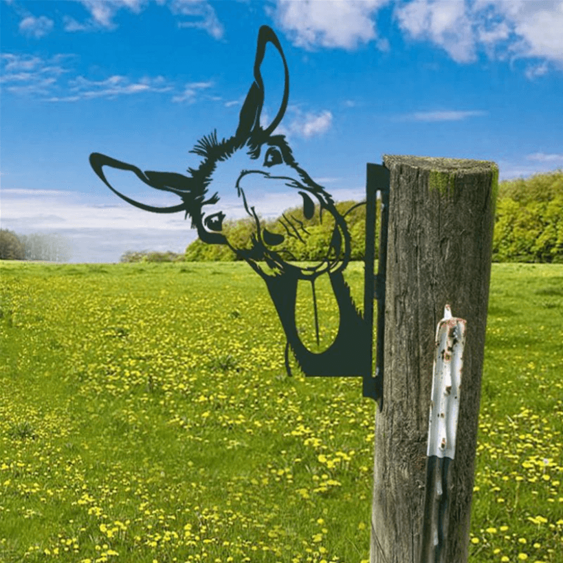 Peek-a-boo - Dieren tuin decoratie