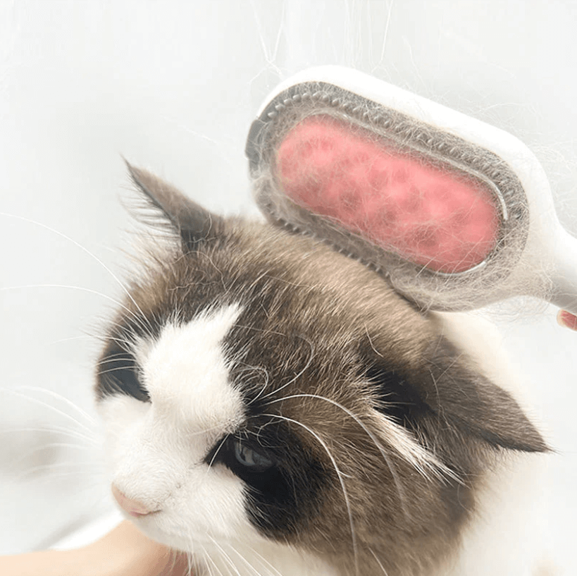 Groombrush - Dierenverzorging harenborstel met doekjes!