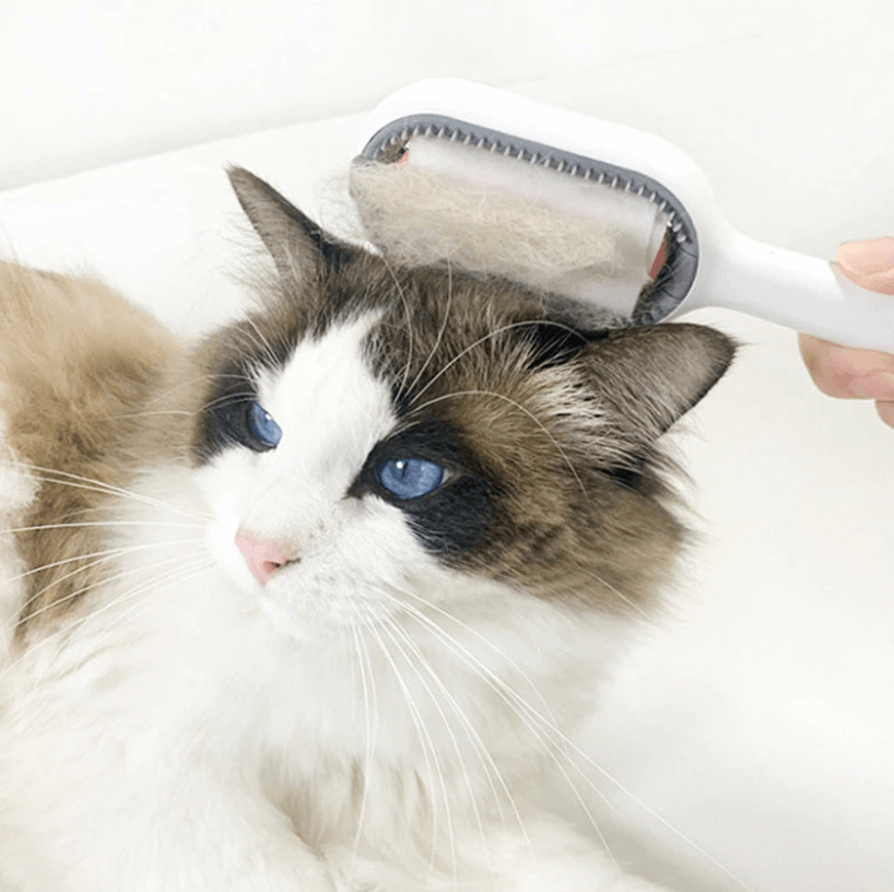 Groombrush - Dierenverzorging harenborstel met doekjes!