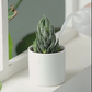 Succulent Planting Gereedschapset (8-delig)