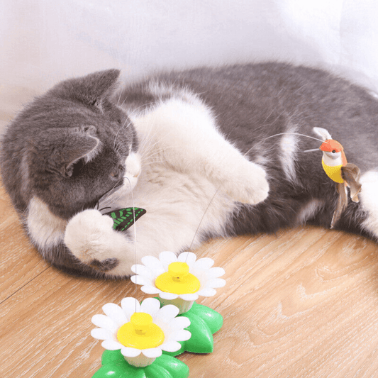 Roterend Kattenspeeltje - De ultieme bezigheids therapie voor jouw 4-voeter!