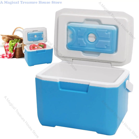 Compacte Draagbare Koelbox| Camping & Picknick | Ultra-Lichtgewicht | 3 maten