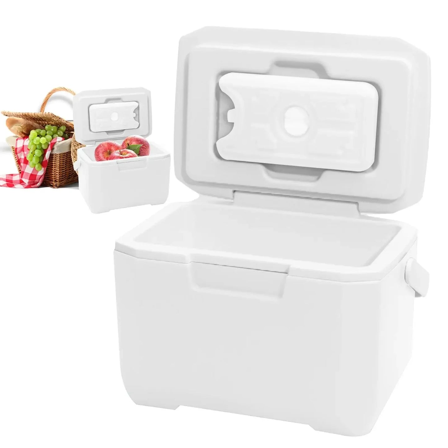 Compacte Draagbare Koelbox| Camping & Picknick | Ultra-Lichtgewicht | 3 maten