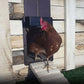 ChickenGate -  Automatisch Kippenhok Deur