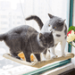 LazyCat - Raam hangmat voor katten