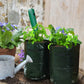 MiniGarden - Groente en planten Groei Zakken