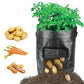 MiniGarden - Groente en planten Groei Zakken