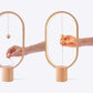 Magnet Light